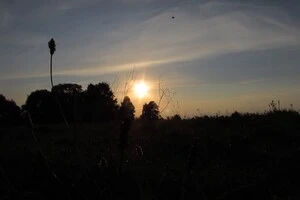 Безхмарне небо та спека до +35°C: прогноз погоди на 25 серпня