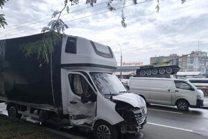 Водій вантажівки, яка перевозила заморожені собачі туші, пояснив походження вантажу