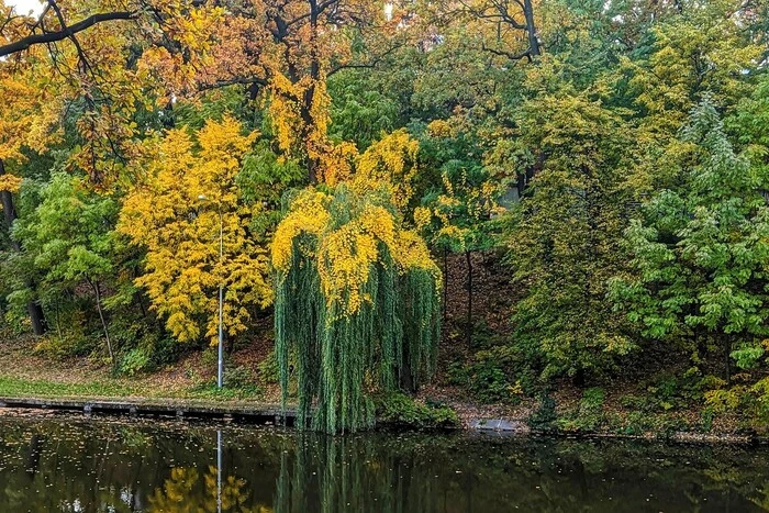  прогноз на місяць