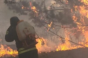  Залучено додаткові ресурси для ліквідації пожежі із інших областей