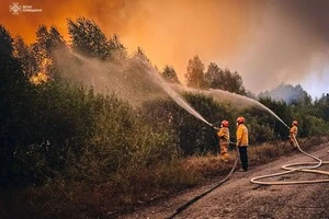 За даними ДСНС України, внаслідок пожежі радіаційний фон не змінився, показники перебувають у межах норми