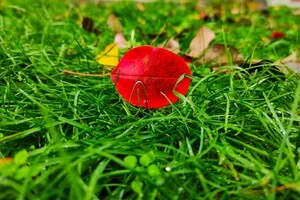 Наразі в Україні ще триває літо