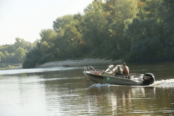 У Десні біля Чернігова місцями зафіксовано масовий замор риби