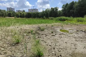 У Києві на Виноградарі повністю висохло озеро Синє