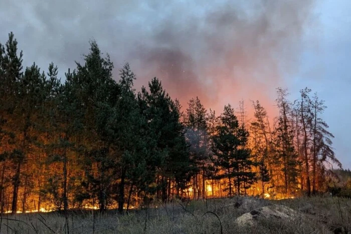 На Сумщині росіяни з дронів скидають на ліси запалювальну суміш