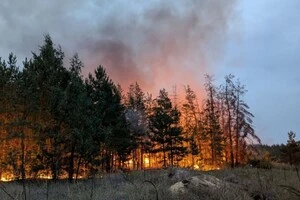 На Сумщині росіяни з дронів скидають на ліси запалювальну суміш