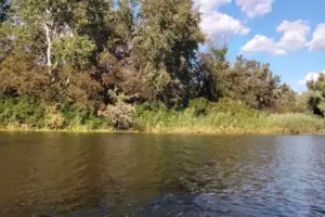 Міндовкілля повідомило про якість води у Десні та Сеймі