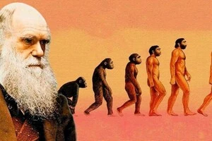 Російський міністр освіти на пропозицію Хучієва поки що не відреагував