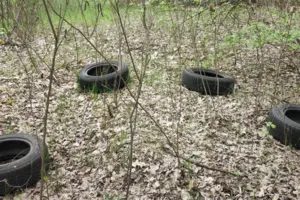 У Голосіївському районі виявлено незаконне будівництво та засмічення прибережної смуги 