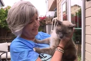 Кіт Рейн Бо та його власниця Сюзанна Ангіано