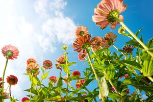 Практично не змінюється температура повітря протягом дня – такою вона буде найближчими днями