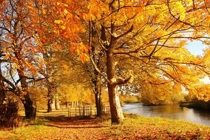 Прогноз погоди на 28 вересня