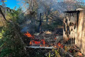 У Гостомелі згорів будинок через підпал сухого листя (фото)