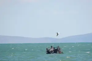 Море змило загородження, якими Росія охороняє Кримський міст (фото)