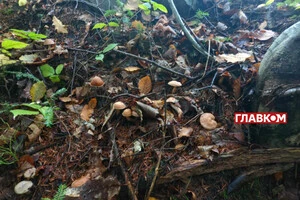 Прогноз погоди 17 жовтня