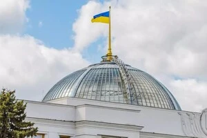 Комітет Ради підтримав створення Міністерства демографії та діаспори