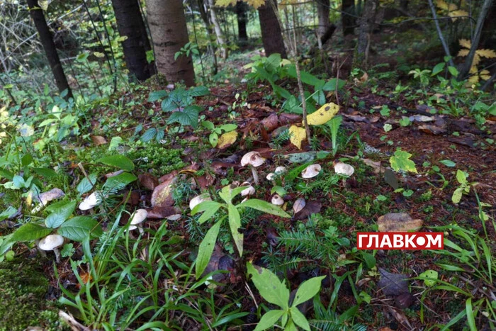  какой сегодня праздник, традиции и запреты