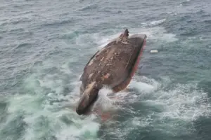 Вантажне судно, яке перевозило щебінь та пісок, перекинулося біля берегів Корсаківського району
