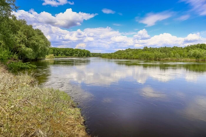 Міндовкілля повідомило про якість води в річках Сейм і Десна