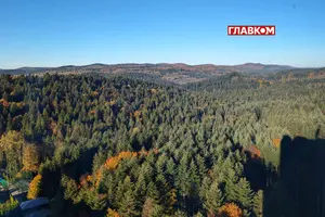 Температура вночі буде 2-7° тепла