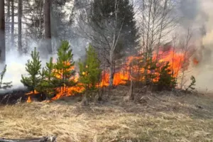 За самовільне випалювання рослинності або її залишків передбачено накладання штрафу від 3 060 до 21 420 грн