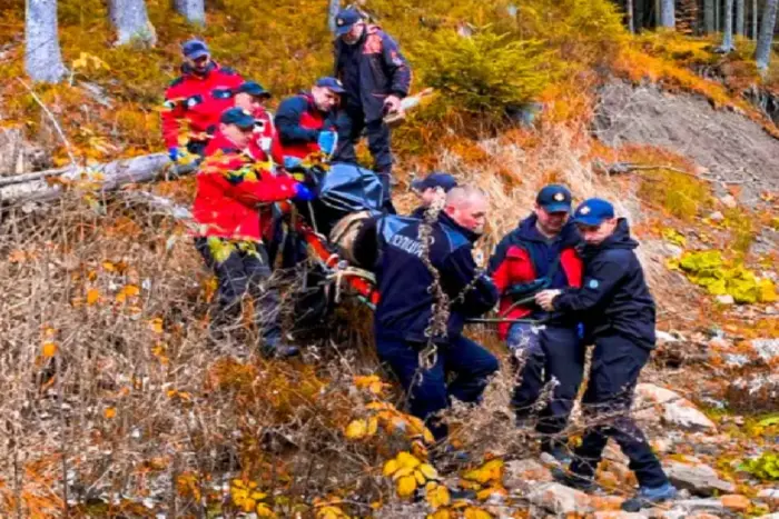 На Прикарпатті ДСНС шукала грибників, які заблукали: один з них не вижив