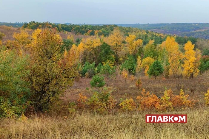 Дощитиме по всій країні: прогноз погоди на 2 листопада