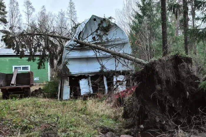 У Фінляндії вперше зафіксовано ураган. Негода залишила без електрики тисячі будинків