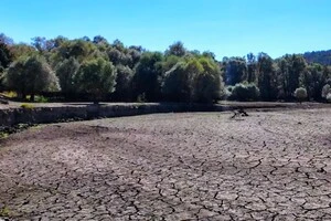 На окупованих територіях зникають річки та міліють водосховища: фотодокази