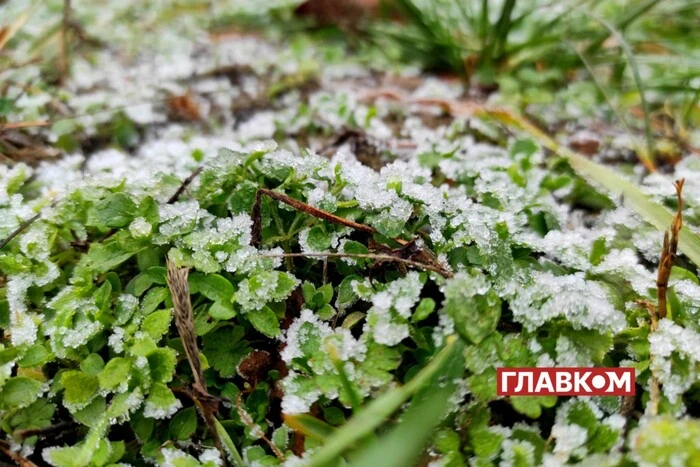 Заморозки, але без опадів: прогноз погоди на 3 листопада