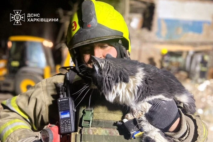 У Харкові рятувальники дістали з-під завалів пухнастика