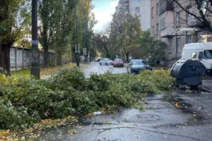 Зірвані дахи та повалені дерева: у Києві вітер наробив лиха (відео)