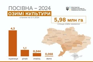 Українські аграрії вже засіяли більше 6 млн га озимих – Мінагрополітики