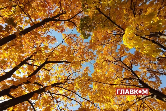 6 листопада: яке сьогодні свято, традиції та заборони