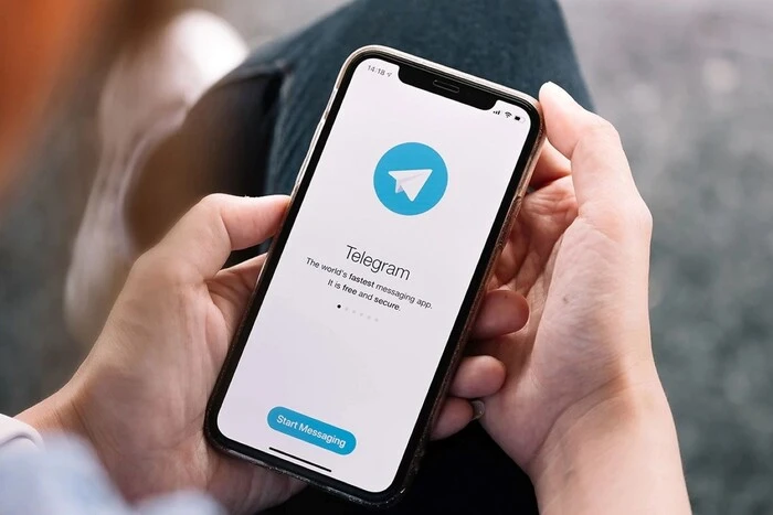 Заборона Telegram. Які університети обмежили використання месенджера