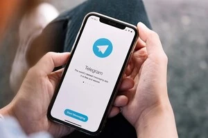 Заборона Telegram. Які університети обмежили використання месенджера