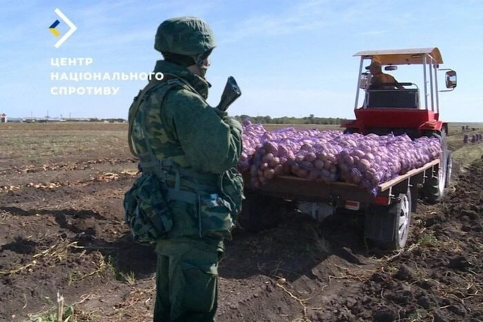 Росіяни на окупованих територіях Херсонщини грабують у фермерів весь врожай – Центр нацспротиву