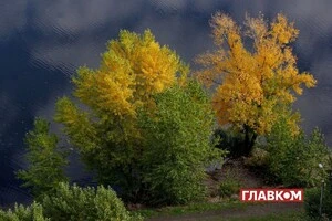 Прогноз погоди на 13 листопада