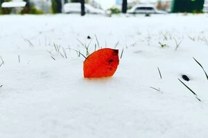 Київ засипле снігом, але на вихідні варто очікувати потепління