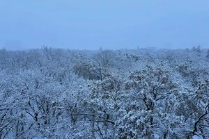 Вінницю вкрило снігом: комунальники звернулись до мешканців міста