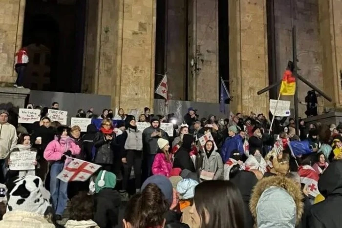 У Грузії під час протесту затримано одного з лідерів опозиції