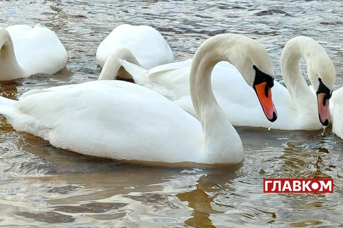 Хмарно, але без опадів: прогноз погоди на 4 грудня