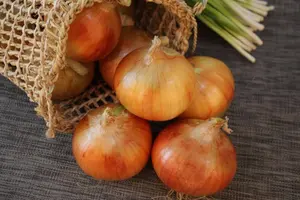 В Україні впали ціни на один із ключових овочів