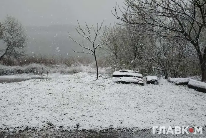 Якою буде погода найближчими днями: синоптикиня попередила про похолодання