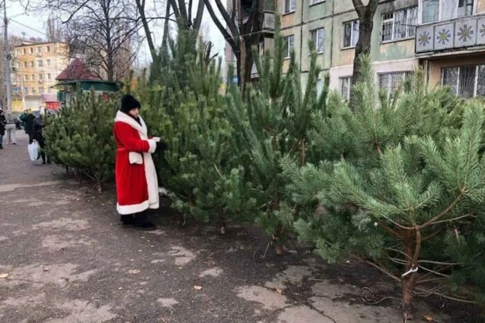 В Одесі запрацювали ялинкові базари