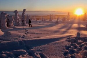 Музичний збірник включає 15 композицій тривалістю близько години