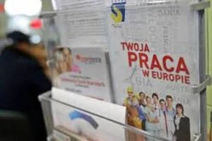 Ринок праці у Польщі трансформується 