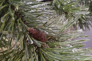 На Новий рік буде тепло і йтиме дощ 