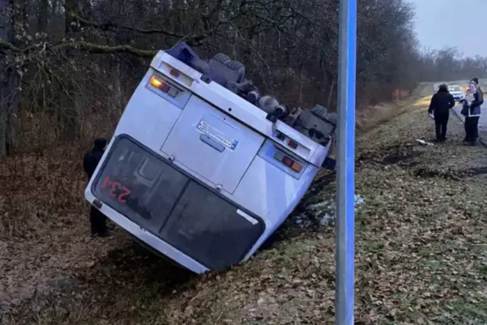 На Закарпатті перекинувся пасажирський автобус: є постраждалі (фото)