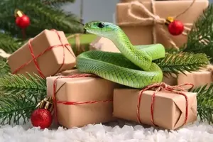 Щоб зустріти 2025 рік з удачею та в гармонії, варто врахувати кілька рекомендацій